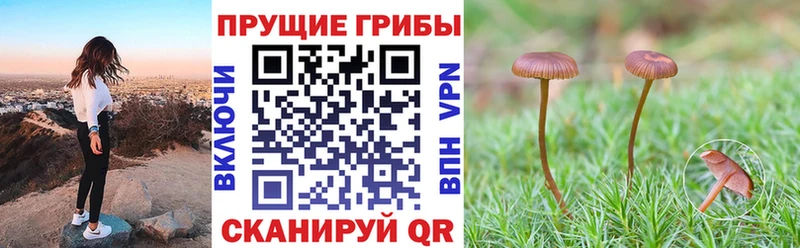 сайты даркнета как зайти  дарнет шоп  omg зеркало  Анива  Псилоцибиновые грибы Magic Shrooms 